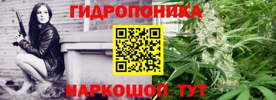 МДПВ Новокубанск