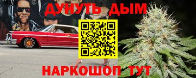 СК Обь